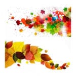 ست 2 عددی ماگ لومانا کد CP0038