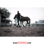 جلیقه سوارکاری FOUGANZA 100