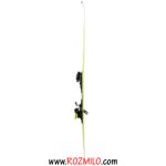 اسکی مردانه I-SHAPE PRO HEAD