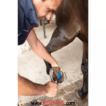 برس نظافت سم و نعل اسب FOUGANZA