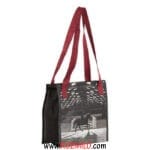 ست نظافتی و آرایشی اسب FOUGANZA