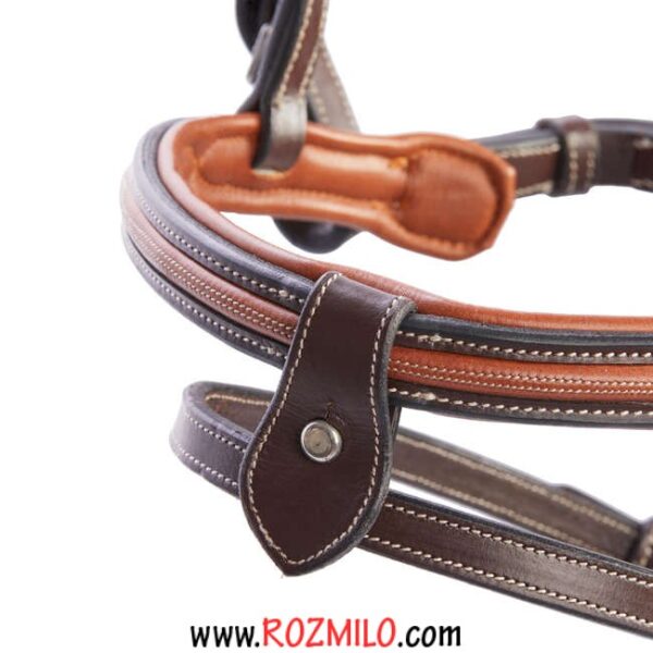 افسار اسب FOUGANZA 580