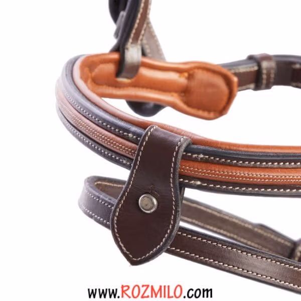 افسار اسب FOUGANZA 580