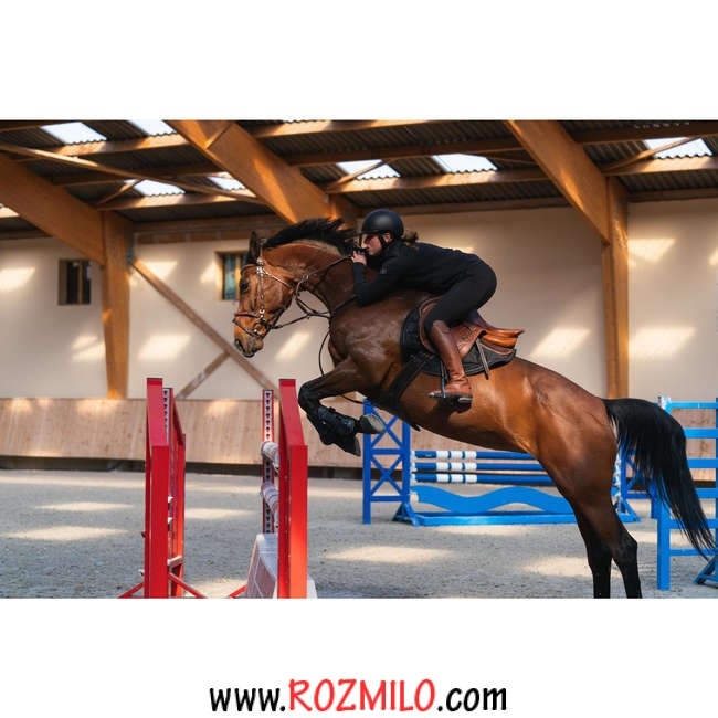 700-jump-pantolon- (4) شلوار سوارکاری رزمیلو