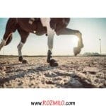 مچ بند پای اسب FOUGANZA getr 500