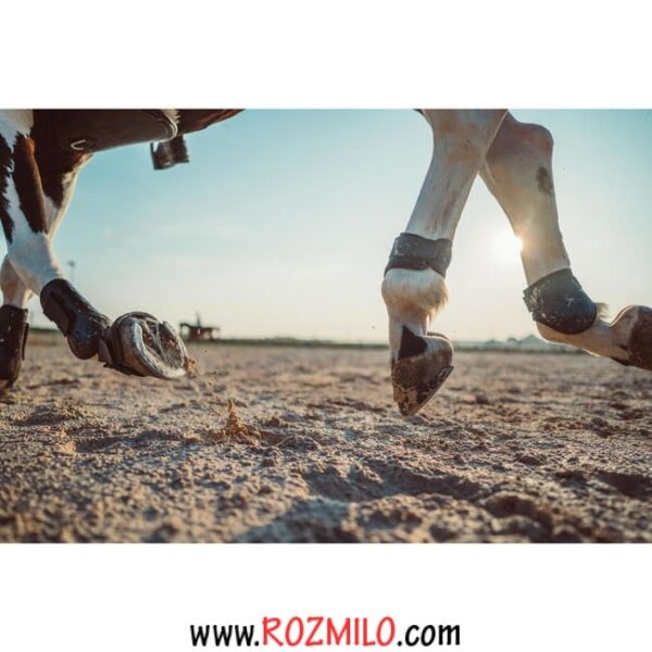 مچ بند پای اسب FOUGANZA getr 500