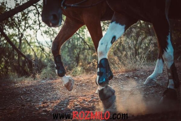 مچ بند پای اسب FOUGANZA getr 500