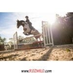 چکمه سوارکاری FOUGANZA 500