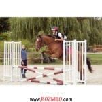 جلیقه محافظ سوارکاری FOUGANZA 100