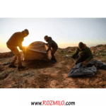 کاپشن مردانه  FORCLAZ TREK 500