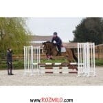 افسار اسب FOUGANZA MARTINGAL