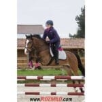 افسار اسب FOUGANZA MARTINGAL