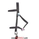 افسار اسب 100 FOUGANZA