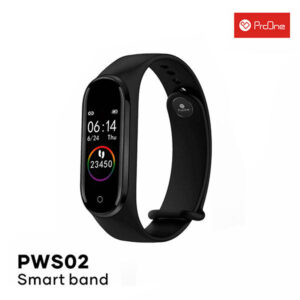 PWS02